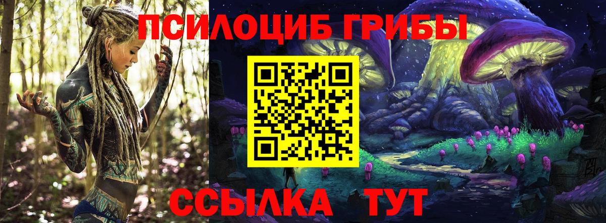 Галлюциногенные грибы Magic Shrooms  Вход с VPN  Старая Русса 