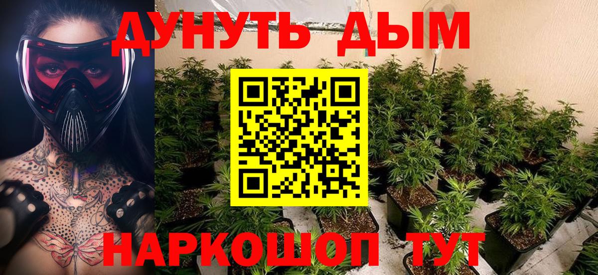 Старая Русса  Бошки Шишки Bruce Banner  Канабис гибрид  Вход с VPN  МАРИХУАНА THC 21% 